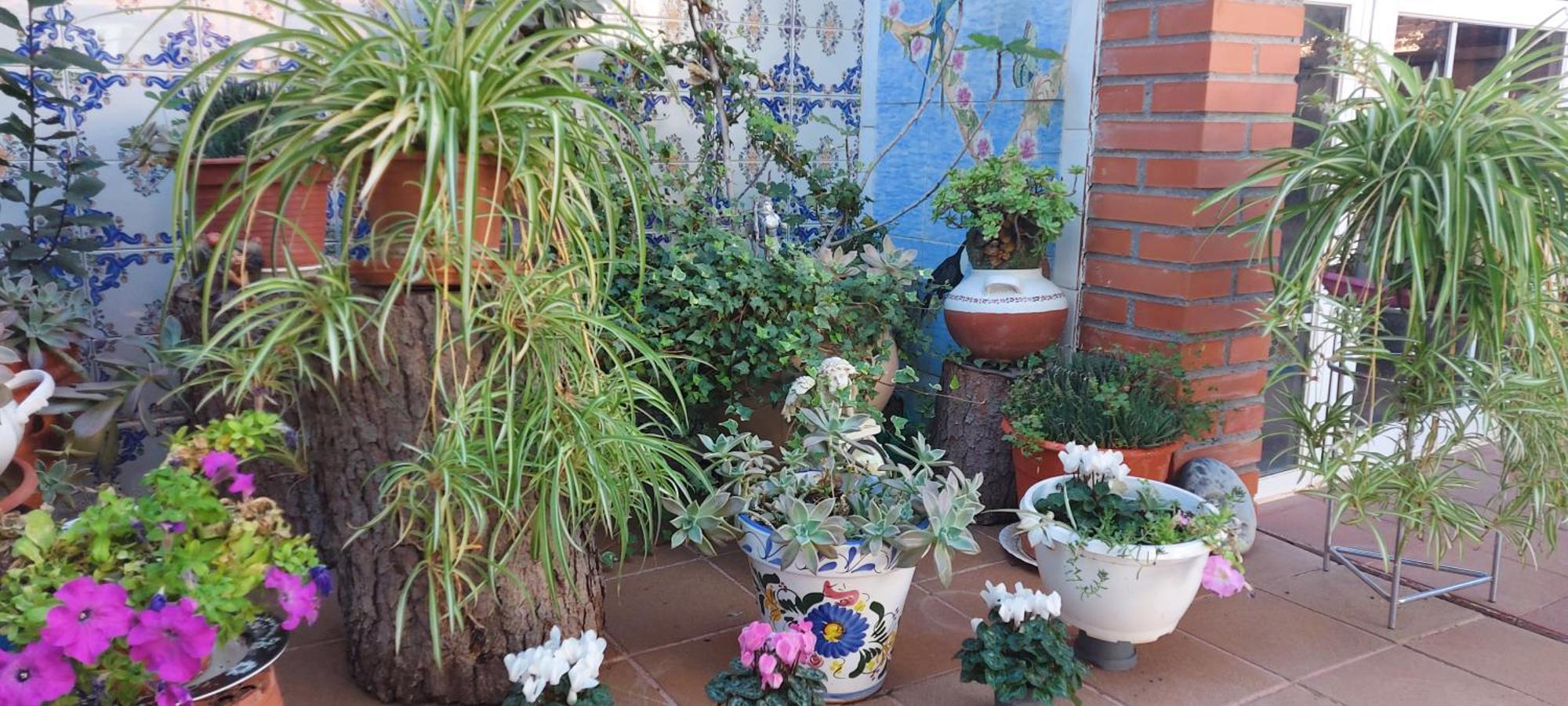 Habitacion,Piscina Y Jardin Azuqueca de Henares Εξωτερικό φωτογραφία